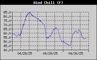 Wind Chill History